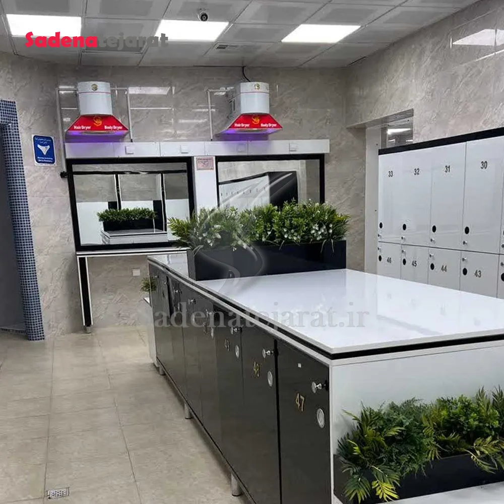 سشوار دیواری و خشک کن بدن مدل ژنیوس